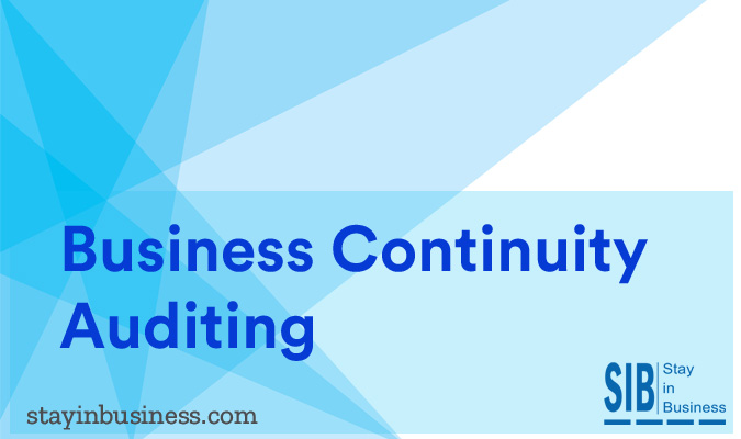 Business Continuity Auditing