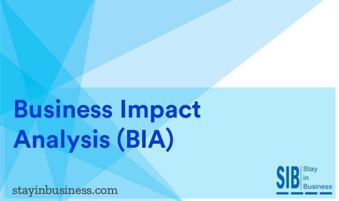 Business Impact Analysis (BIA)